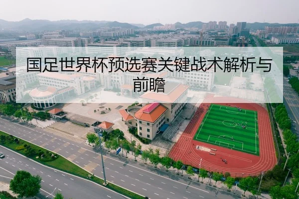 国足世界杯预选赛关键战术解析与前瞻